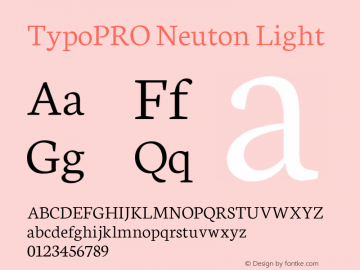 TypoPRO Neuton Light Version 1.43图片样张