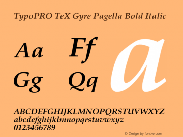 TypoPRO TeX Gyre Pagella Bold Italic Version 2.004;PS 2.004;hotconv 1.0.49;makeotf.lib2.0.14853图片样张