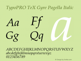 TypoPRO TeX Gyre Pagella Italic Version 2.004;PS 2.004;hotconv 1.0.49;makeotf.lib2.0.14853图片样张