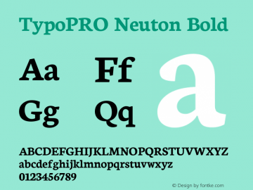 TypoPRO Neuton Bold Version 1.42图片样张