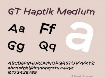 GT Haptik Medium Version 2.001图片样张