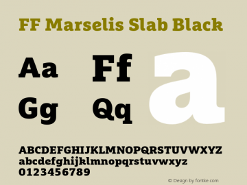 FF Marselis Slab Black Version 7.504; 2013; Build 1021图片样张