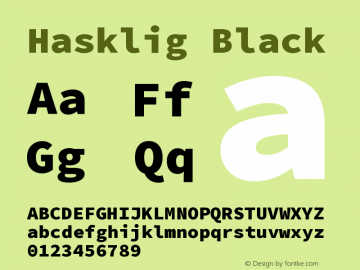 Hasklig Black Version 1.003 Font Sample