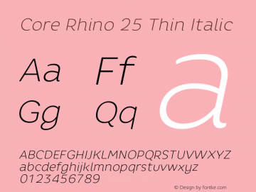 Core Rhino 25 Thin Italic Version 1.000 | wf-r图片样张