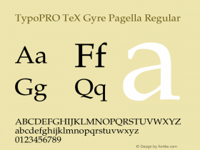 TypoPRO TeX Gyre Pagella Regular Version 2.004;PS 2.004;hotconv 1.0.49;makeotf.lib2.0.14853图片样张