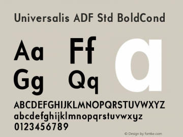 Universalis ADF Std BoldCond Version 1.009图片样张