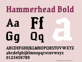 Hammerhead Bold Version 001.000 Font Sample