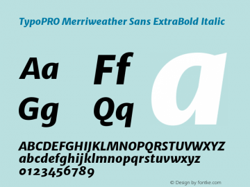 TypoPRO Merriweather Sans ExtraBold Italic Version 1.000 Font Sample