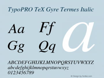 TypoPRO TeX Gyre Termes Italic Version 2.004;PS 2.004;hotconv 1.0.49;makeotf.lib2.0.14853 Font Sample