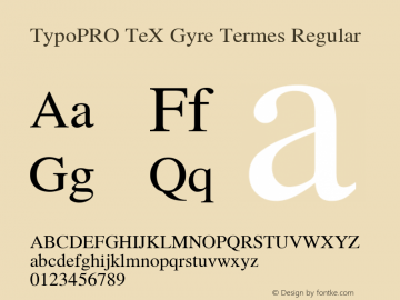 TypoPRO TeX Gyre Termes Regular Version 2.004;PS 2.004;hotconv 1.0.49;makeotf.lib2.0.14853 Font Sample