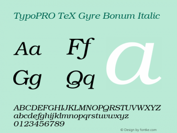 TypoPRO TeX Gyre Bonum Italic Version 2.004;PS 2.004;hotconv 1.0.49;makeotf.lib2.0.14853图片样张