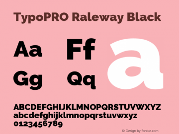 TypoPRO Raleway Black Version 3.000; ttfautohint (v0.96) -l 8 -r 28 -G 28 -x 14 -w 