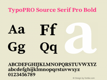 TypoPRO Source Serif Pro Bold Version 1.014;PS 1.0;hotconv 1.0.73;makeotf.lib2.5.5900图片样张