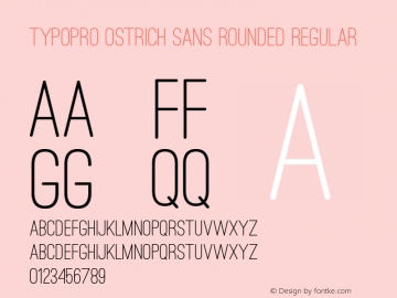 TypoPRO Ostrich Sans Rounded Regular Version 1.001;PS 001.001;hotconv 1.0.70;makeotf.lib2.5.58329图片样张