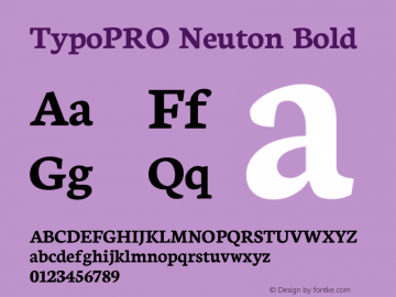 TypoPRO Neuton Bold Version 1.42图片样张