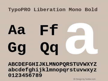 TypoPRO Liberation Mono Bold Version 2.00.1图片样张