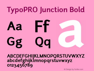 TypoPRO Junction Bold Version 001.001图片样张