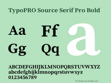 TypoPRO Source Serif Pro Bold Version 1.014;PS 1.0;hotconv 1.0.73;makeotf.lib2.5.5900图片样张