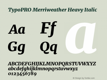 TypoPRO Merriweather Heavy Italic Version 1.001图片样张