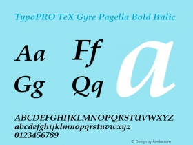 TypoPRO TeX Gyre Pagella Bold Italic Version 2.004;PS 2.004;hotconv 1.0.49;makeotf.lib2.0.14853图片样张