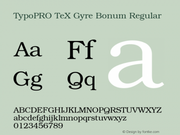 TypoPRO TeX Gyre Bonum Regular Version 2.004;PS 2.004;hotconv 1.0.49;makeotf.lib2.0.14853 Font Sample