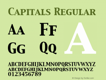 Capitals Regular Macromedia Fontographer 4.1.5 4/9/99图片样张