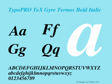 TypoPRO TeX Gyre Termes Bold Italic Version 2.004;PS 2.004;hotconv 1.0.49;makeotf.lib2.0.14853 Font Sample
