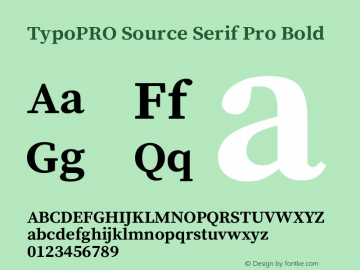 TypoPRO Source Serif Pro Bold Version 1.014;PS 1.0;hotconv 1.0.73;makeotf.lib2.5.5900图片样张