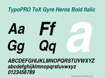 TypoPRO TeX Gyre Heros Bold Italic Version 2.004;PS 2.004;hotconv 1.0.49;makeotf.lib2.0.14853图片样张