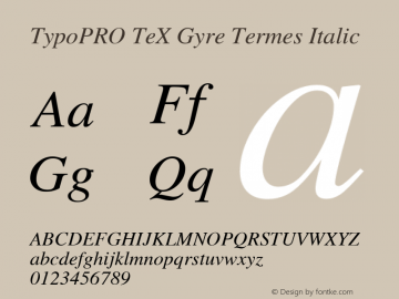 TypoPRO TeX Gyre Termes Italic Version 2.004;PS 2.004;hotconv 1.0.49;makeotf.lib2.0.14853 Font Sample