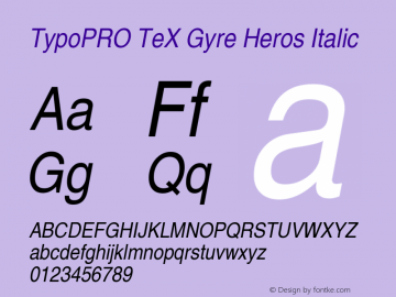 TypoPRO TeX Gyre Heros Italic Version 2.004;PS 2.004;hotconv 1.0.49;makeotf.lib2.0.14853图片样张