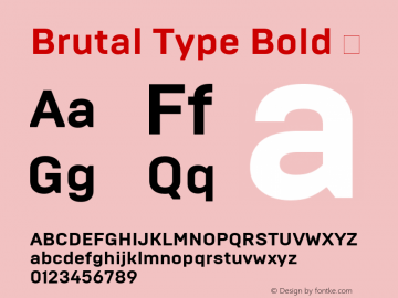 Brutal Type Bold 㨦 Version 1.001;WEBTT Font Sample