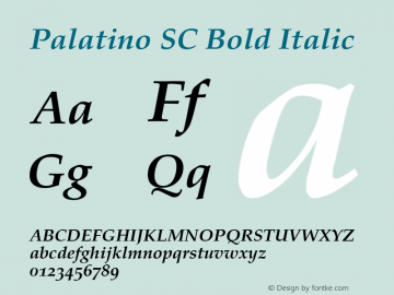 Palatino SC Bold Italic V.1.0图片样张