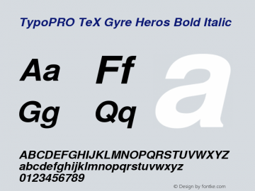 TypoPRO TeX Gyre Heros Bold Italic Version 2.004;PS 2.004;hotconv 1.0.49;makeotf.lib2.0.14853图片样张