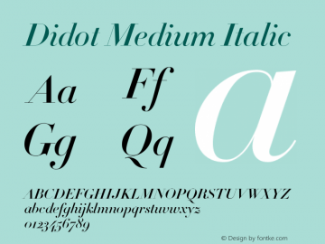 Didot Medium Italic 001.000图片样张