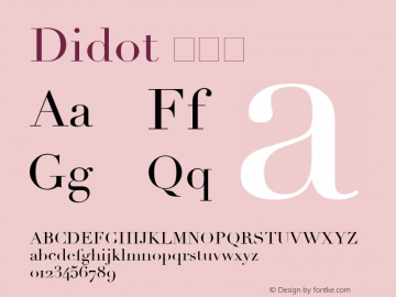 Didot 常规体 9.0d2e1 Font Sample