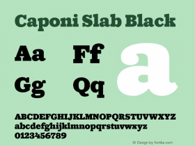 Caponi Slab Black Version 1.100图片样张