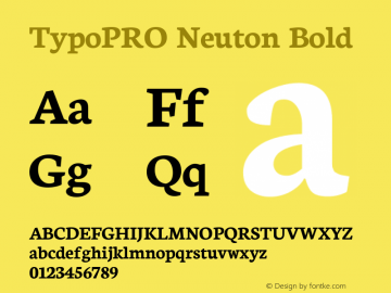 TypoPRO Neuton Bold Version 1.42图片样张