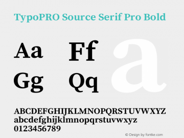 TypoPRO Source Serif Pro Bold Version 1.014;PS 1.0;hotconv 1.0.73;makeotf.lib2.5.5900图片样张