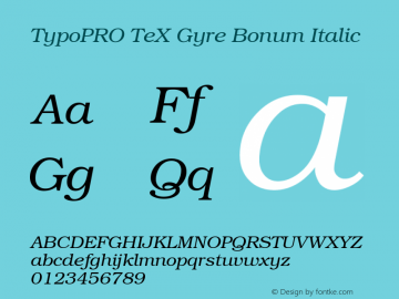 TypoPRO TeX Gyre Bonum Italic Version 2.004;PS 2.004;hotconv 1.0.49;makeotf.lib2.0.14853 Font Sample