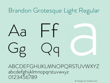 Brandon Grotesque Light Regular Version 001.000 Font Sample
