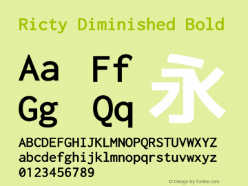 Ricty Diminished Bold Version 3.2.2 Font Sample