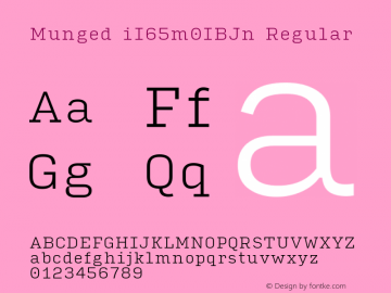 Munged-iI65m0IBJn Regular Version 1.4 Font Sample