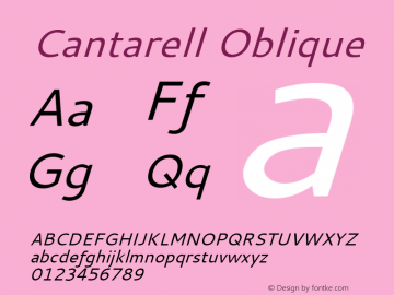 Cantarell Oblique Version 001.001图片样张