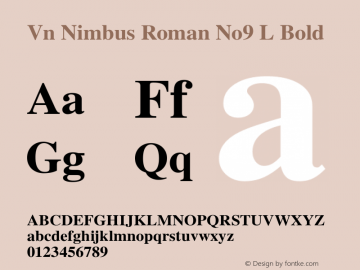 Vn Nimbus Roman No9 L Bold Version 1.05; ttfautohint (v1.1) -l 8 -r 50 -G 200 -x 14 -D latn -f latn -w G Font Sample