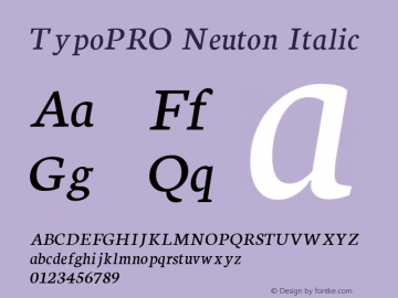 TypoPRO Neuton Italic Version 1.43图片样张