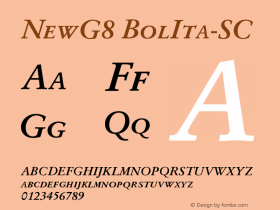 NewG8 BolIta-SC Version 1.05图片样张