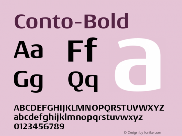 Conto-Bold ☞ 1.001;com.myfonts.easy.nils-types.conto.bold.wfkit2.version.4h3d Font Sample