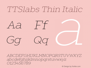 TTSlabs Thin Italic Version 1.000 | wf replica图片样张