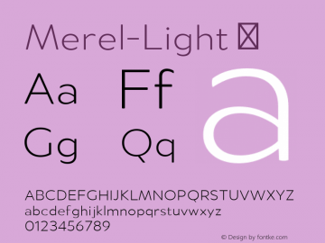 Merel-Light ☞ Version 1.000;PS 001.000;hotconv 1.0.70;makeotf.lib2.5.58329;com.myfonts.easy.northernblock.merel.light.wfkit2.version.4hb4图片样张